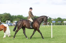 E36_0044 2026