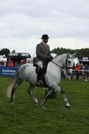 E30_3303 2026
