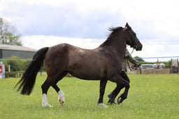 J36_6152 2026