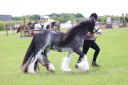 J36_6281 2026