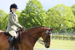 22 RoR Ridden NH