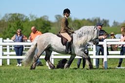 H19_1610 2026