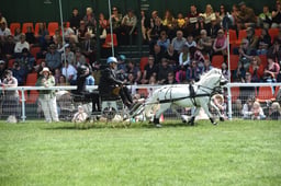 D42_1950 2026