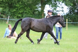 J36_6581 2026