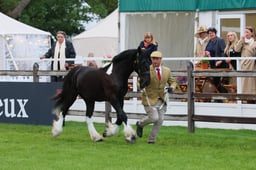 S28_9674 2026