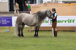 M44_0745 2026