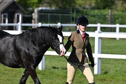 69 Picton Novice Welsh C & D