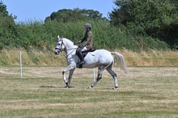 S60_0529 2026