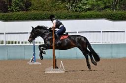 A32_1007 2026