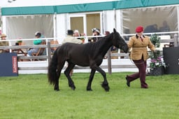 W29_0913 2026