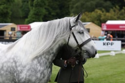 W29_0891 2026