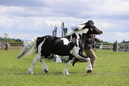 J36_7508 2026