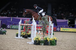 Senior Foxhunter Championship