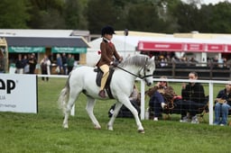 E30_4671 2026