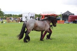 J36_5961 2026