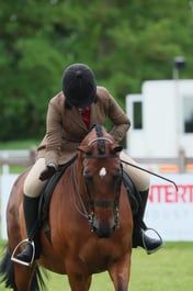 S31_8419 2026