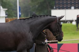 S37_5478 2026