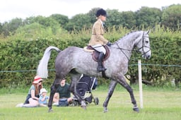 M36_2975 2026