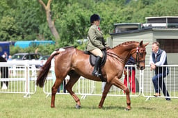 Z43_5906 2026