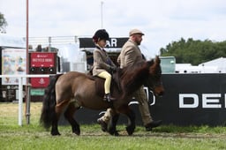 147-145 Senior Ridden Championship