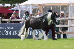 S28_9230 2026