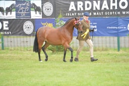 N45_0634 2026