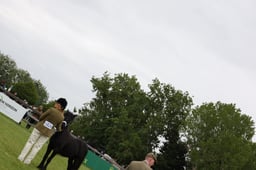 W29_1042 2026
