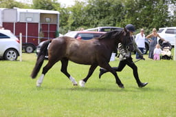 J36_7005 2026