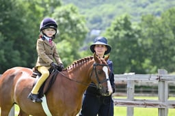 A42_1946 2026