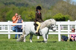 H19_0645 2026