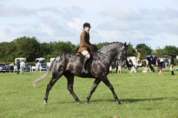E36_0361 2026