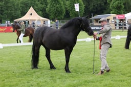 W29_0774 2026
