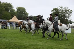 E30_5543 2026