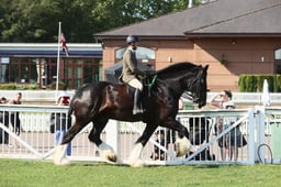 E33_0327 2026