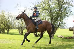 X14_1841 2026