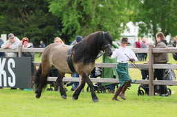 S29_0594 2026