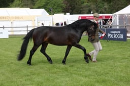 W29_0558 2026