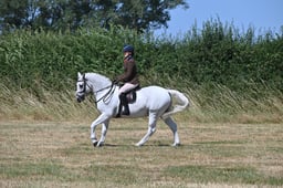S60_0670 2026