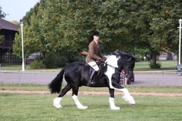 112A Ridden Coloured Native Pony