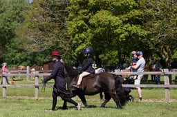 136 Leading Rein WHP