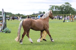 J36_5911 2026