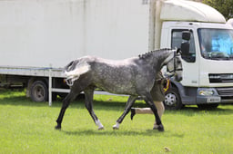 J36_6876 2026