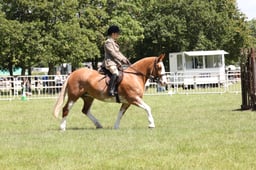 L42_9078 2026