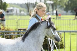 E34_1099 2026