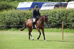 W36_0680 2026