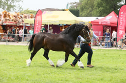 E34_2355 2026