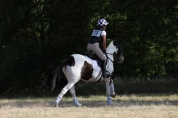 423 CARRIAGBAWN PRINCE