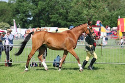 C33_0962 2026