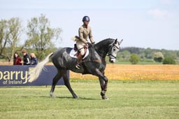 49 HEAVENLY EDWARD