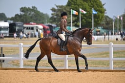 A65_2014 2026